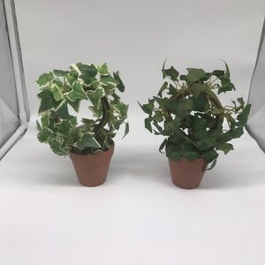Pair of potted ivy wreaths.